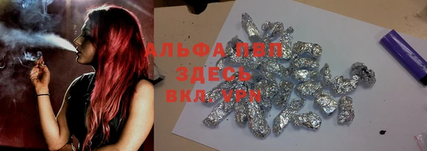 прущий лед Абаза