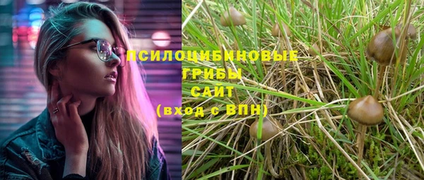 ешки Абинск
