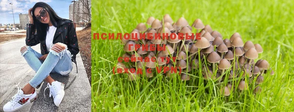 ешки Абинск