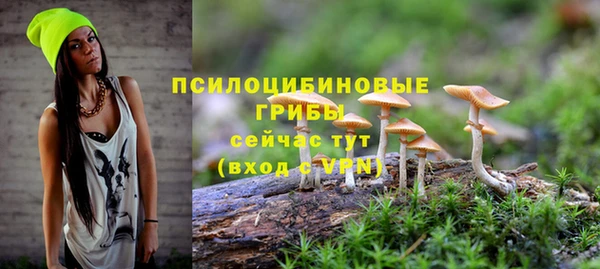 ешки Абинск