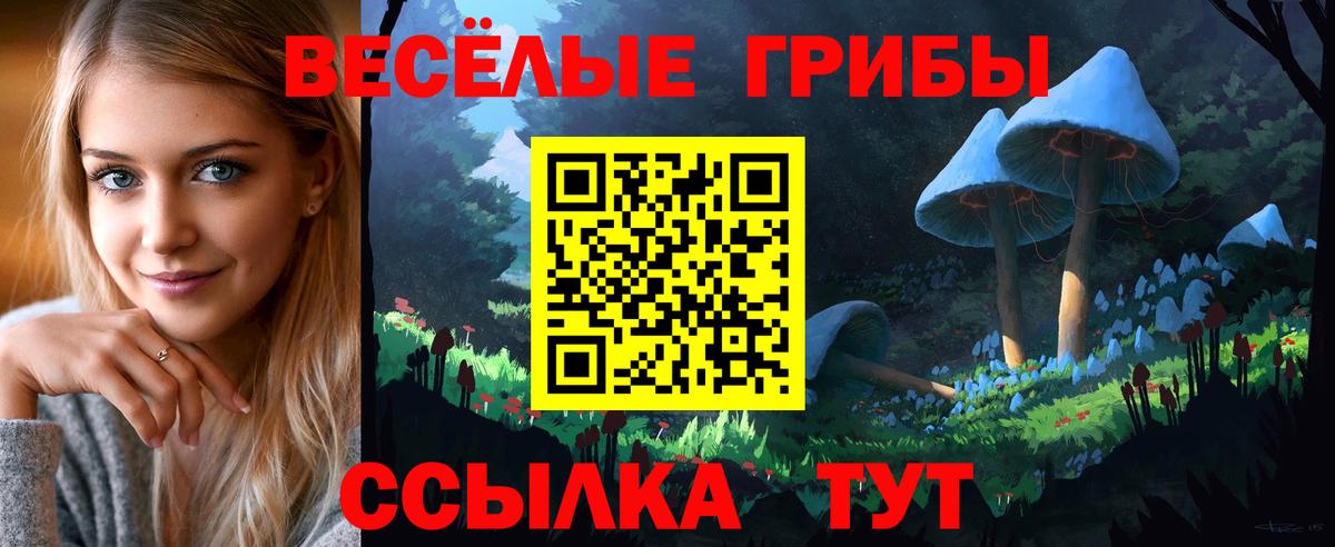 Псилоцибиновые грибы GOLDEN TEACHER  Вход с VPN  Ирбит  Галлюциногенные грибы Psilocybine cubensis 
