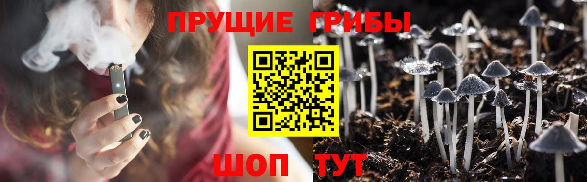 Псилоцибиновые грибы мицелий Ирбит